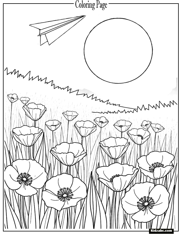 A peaceful field of red poppies with a paper airplane flying across the page.