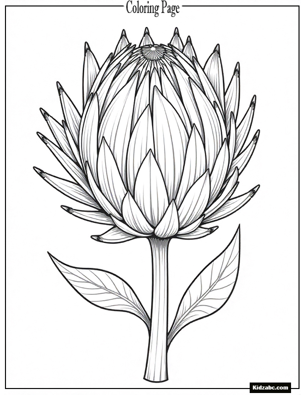A protea flower in full bloom with surrounding spiky leaves and buds.