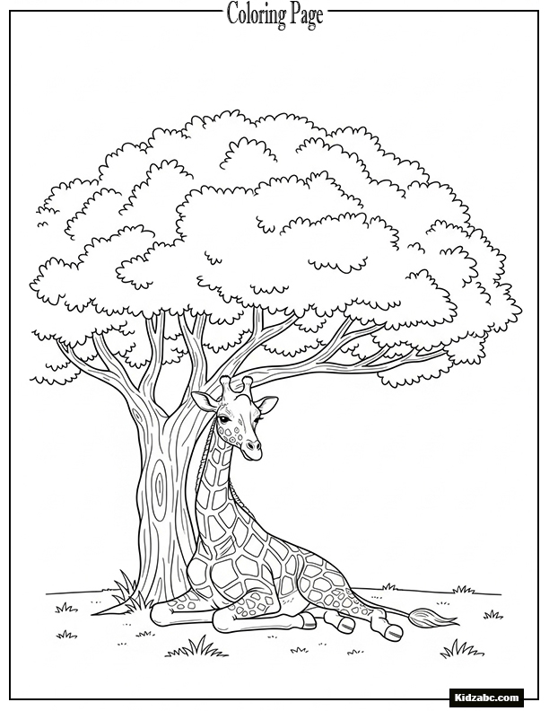Giraffe laying under a tree shade