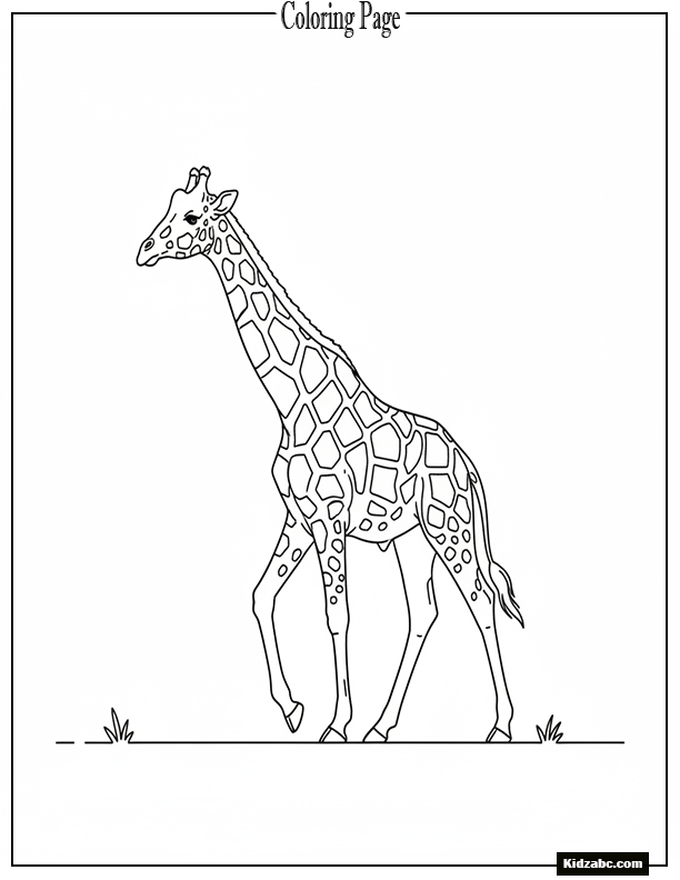 Giraffe walking, front legs slightly lifted