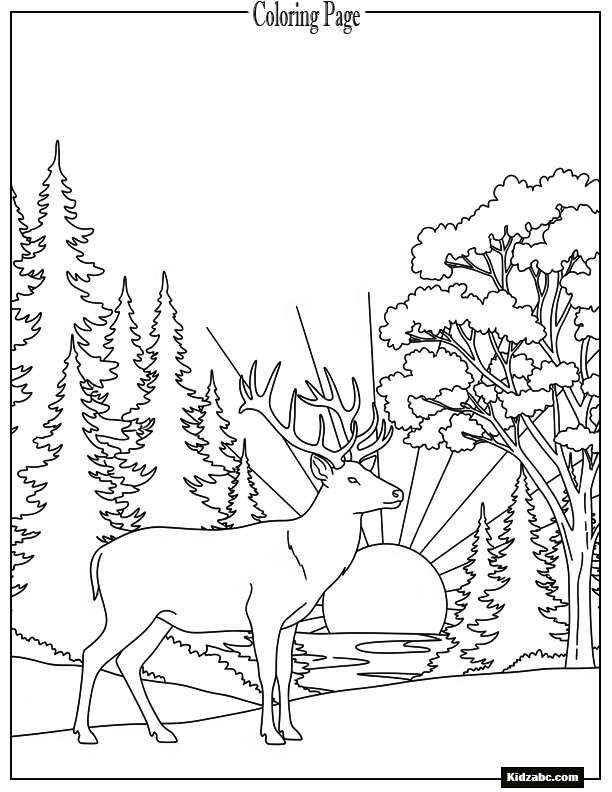 Sunset behind forest with deer silhouette in foreground