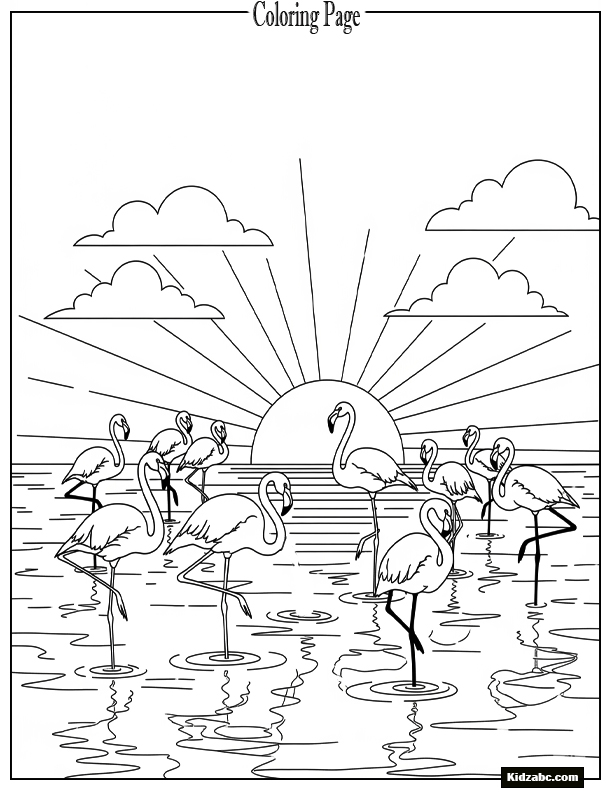 Sunset with flamingos in shallow water silhouette