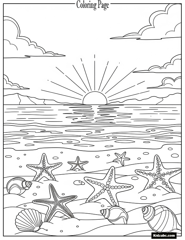 Sunset with starfish and seashells on the beach